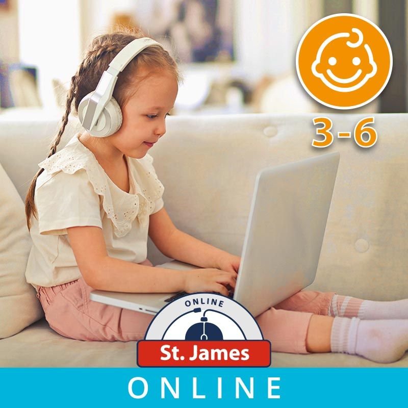 online-3-6-02