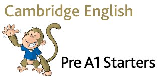 Cambridge Pre A1 Starters